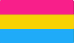 Pansexualidade